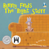 Emily Lim's Toys Series: Bunny Finds the Right Stuff